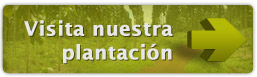 visita