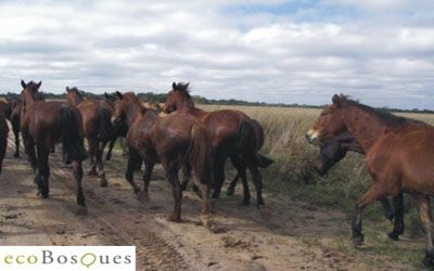 Fotograf&iacute;a de ecolog&iacute;a