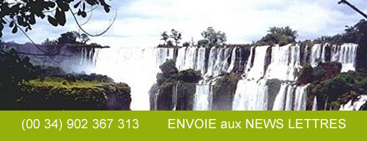 Plantaciones agroforestales en Argentina