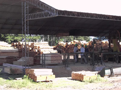 Aserradero de maderas
