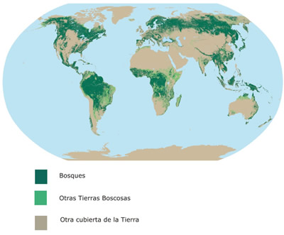 Evoluci&oacute;n de los precios de la madera