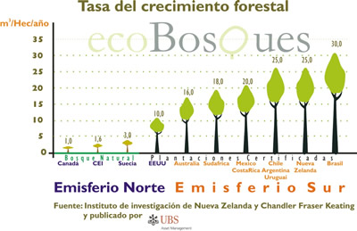 Tasa de crecimiento forestal