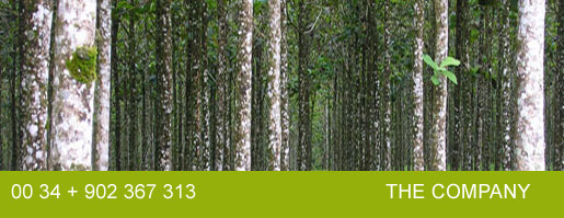 Maderas nobles en bosques naturales