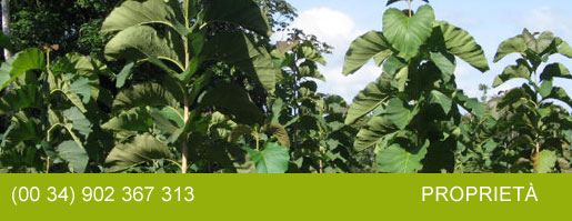 tierras de alta fertilidad