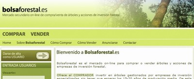 bolsaforestal
